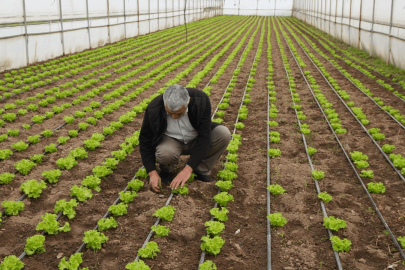 Balıkesir’de belediye desteğiyle topraklar bereketlendi